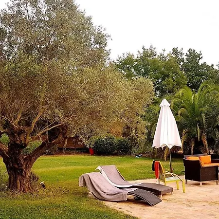 ベッド・アンド・ブレックファスト Clos Des Vignes Pampelonne Vineyard ラマチュエル