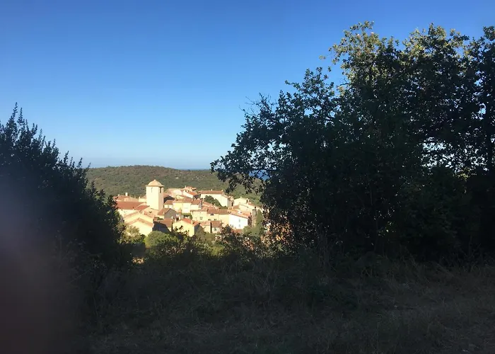 Clos Des Vignes Pampelonne Vineyard Ramatuelle