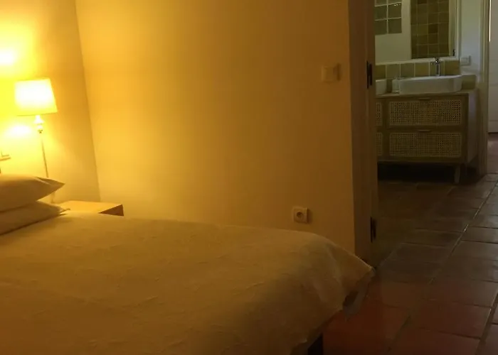 Bed & Breakfast Clos Des Vignes Pampelonne Vineyard
