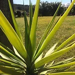 Clos Des Vignes Pampelonne Vineyard Bed & Breakfast