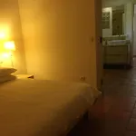 Bed & Breakfast Clos Des Vignes Pampelonne Vineyard
