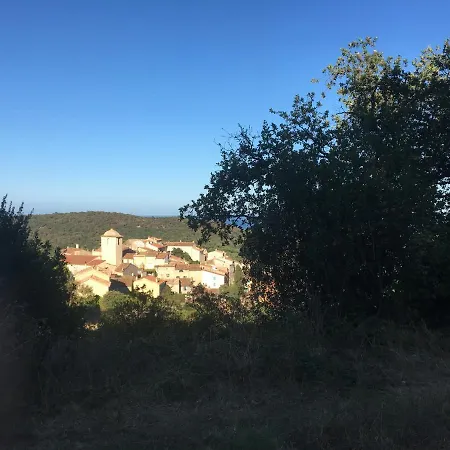 Clos Des Vignes Pampelonne Vineyard Ramatuelle