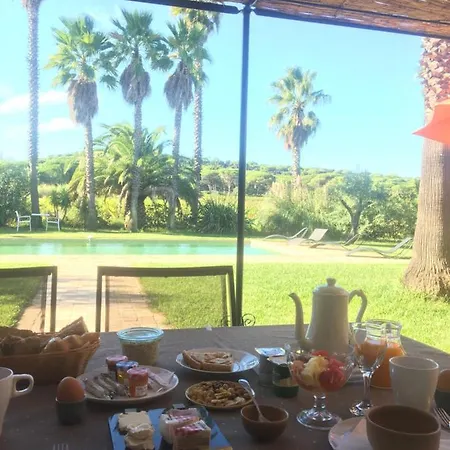 Bed & Breakfast Clos Des Vignes Pampelonne Vineyard 4*
