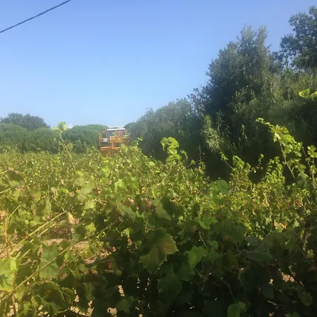Clos Des Vignes Pampelonne Vineyard Frühstückspension *